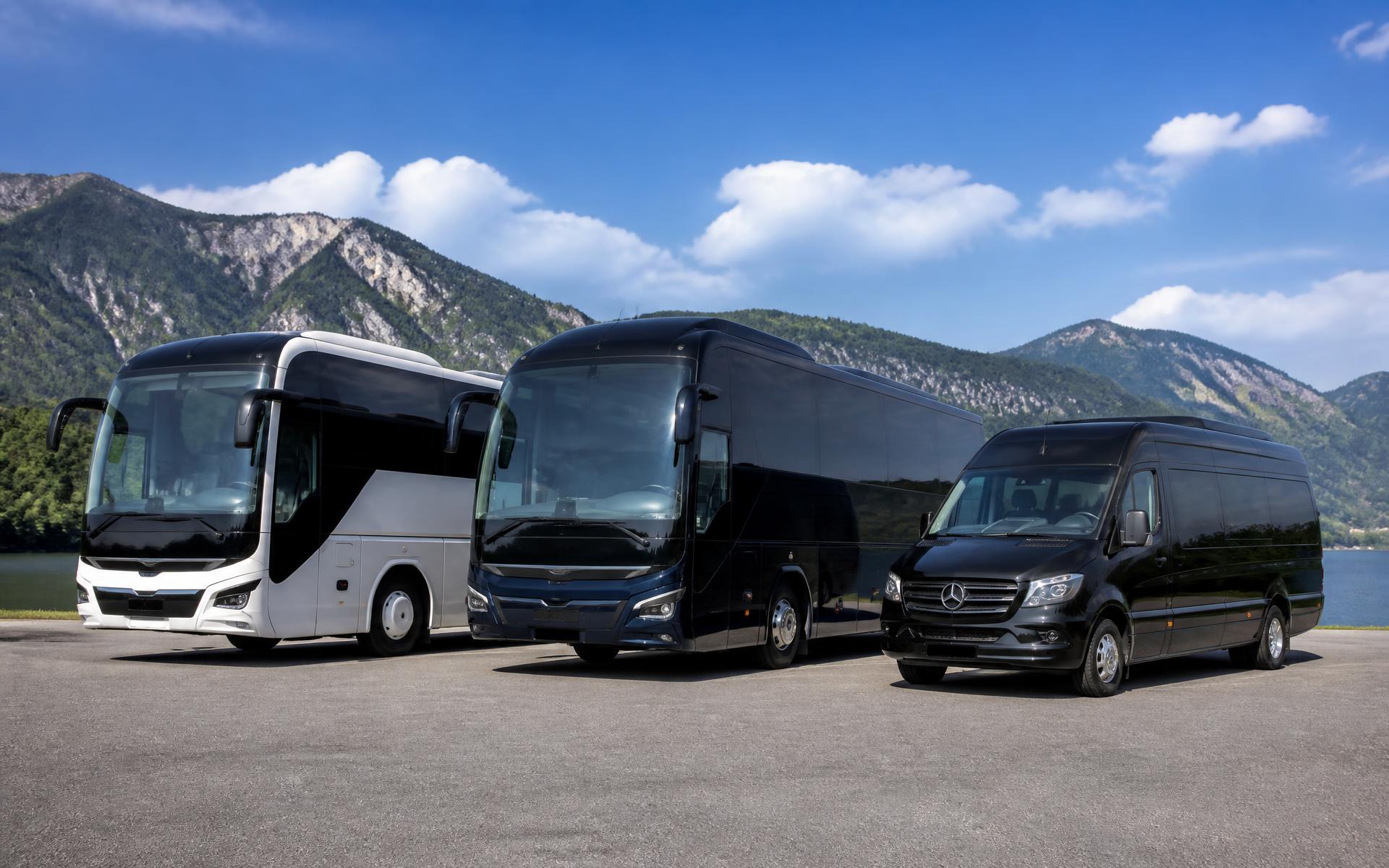La flotta Bernardo Tour: bus granturismo e minibus tra montagne e lago